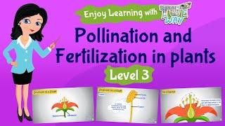 Pollination & Fertilization in Plants - Science | Tutway