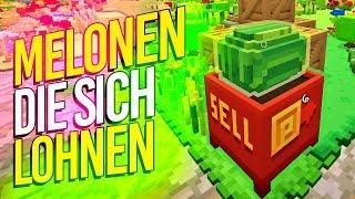 STAXEL  017: MELONEN für MILLIONEN