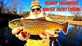 Beaver Tailwaters Winter Trout Fishing