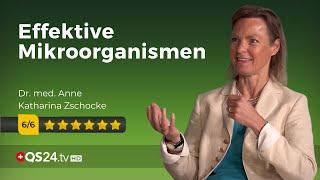 EM: effektive Mikroorganismen | Naturmedizin | QS24 Gesundheitsfernsehen