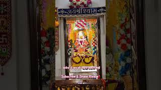 Shyam sang preet #khatu dham#shyam #kanhiya mittal