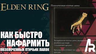 ELDEN RING: КАК ФАРМИТЬ ПОЗОЛОЧЕННЫЕ ПТИЧЬИ ЛАПКИ. ФАРМ РУН +52%.