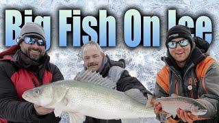 AnglingBuzz Ice Show 5: Big Fish On Ice