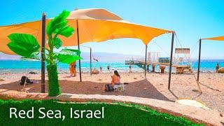 EILAT TODAY! The Most Beautiful City on the Shores of the Red Sea. Israel.