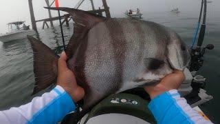 Solo 27 miles Offshore fishing on a Jet Ski, GIGANTIC Spadefish and limited out on Black Sea Bass.