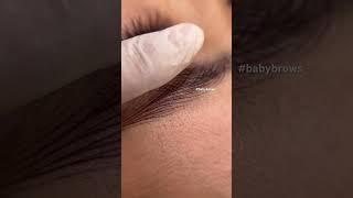 Babybrows 베이비브로우 헤어스트록 페더링 눈썹문신 눈썹반영구 눈썹색소 머신색소 엠보색소 #shorts