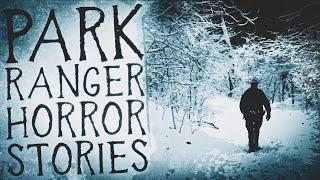 15 Scary Park Ranger Horror Stories