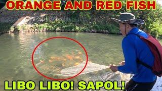 MGA ISDA NAGING CHRISTMAS TREE / NAMULA ANG TUBIG