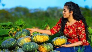 Floury Pumpkin Delights  Harvesting, Cooking, and Enjoying Sri Lankan Pumpkin Dishes with Family