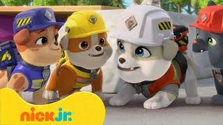 Rubble & Crew | Il MEGLIO della stagione 1 di Rubble e del gruppo! ️ | Parte 2 | Nick Jr. Italia