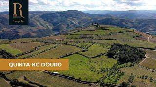 Quinta no Douro com 3 ha para turismo | REF. 3261