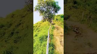 ##Shortsreels##highlight##video#foryou#fyb#Md.Rasel ahmed##