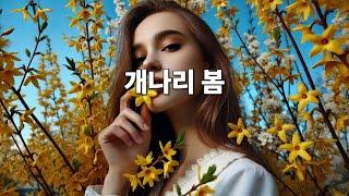 개나리봄 - 소프라노 양지(송병훈 작사, 김혜선 작곡)