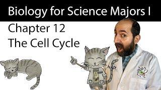 Chapter 12 - The Cell Cycle