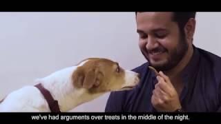 How Adopting a Pet Dog Saved A Man's Life | Royal Canin | Zcyphher