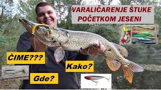 VARALIČARENJE ŠTUKE POČETKOM JESENI