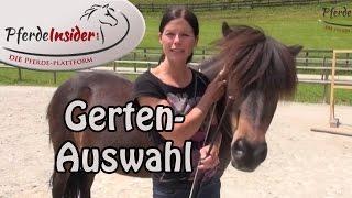  Ausrüstungskunde beim Pferd: Die passende Gerte wählen 