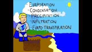 The Water Cycle