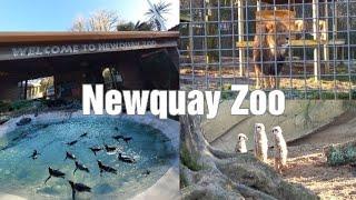 Newquay Zoo - Cornwall 2023