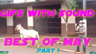 GIFS WITH SOUND | BEST OF MAY 2014 PART 1| 10 MINUETS OF FUNNY GIFS WITH SOUND| GWS4ALL