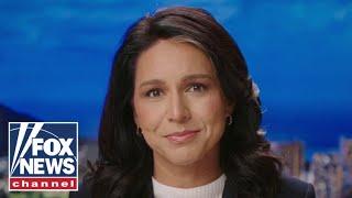 Tulsi Gabbard: Democrats don't want voters to know this