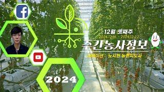 [ 주간농사정보 ] 12월 셋째주 (2024. 12. 16. ~ 12. 22.)