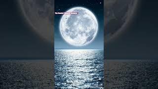 قرآننا لغه حياتنا
