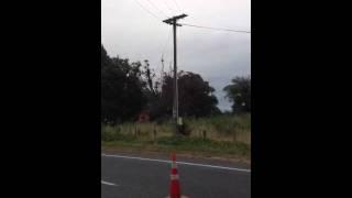 IMG_1530.MOV
