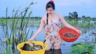 Trúng đậm thau cá.tép khi kết hợp hai môn bẫy mùa nước nổi | TNTP T260 - Country girl traps big fish