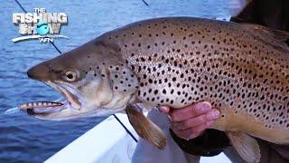 Mega Trout in Deep Water