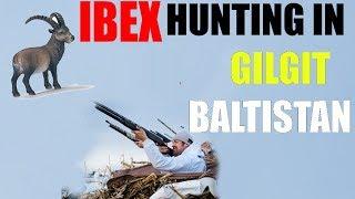 A SHORT CLIP OF  HUNTING OF IBEX IN GILGIT BALTISTAN ||SHIKAR HE SHIKAR ||BALTI SONG OFFICIAL ||