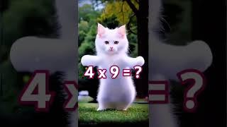 Let's do the Math! #brainblitz #cat #mathchallenge