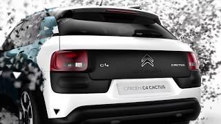 C4 Cactus Hatch - Design Legacy