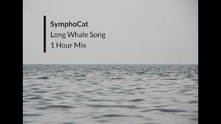 SymphoCat - Long Whale Song | 1 Hour Mix