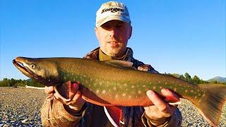 SIBERIAN ADVENTURE. Two weeks in the Magadan taiga. Salmon fishing. Part 1