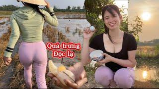 Quả trứng độc lạ có 1-0-2 em từng thấy khi đi lụm hột vịt nướng ăn #thanhgiangvlog