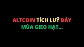 #372: PTKT giá bitcoin tiếp tục điểm mua đẹp, altcoin tích luỹ vùng đáy | CRYPTO MÙA GIEO HẠT