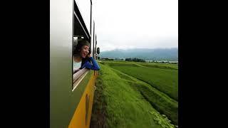 #아소협곡열차 #구마모토여행 #큐슈여행 #일본여행 #japantravel #JNTO #kyushu #kumamoto #travelvideo #일본여기저기