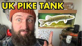 KEEPING PIKE IN AQUARIUM'S (UK)