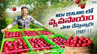 Village Farming In Cromwell Town New Zealand  | Uma Telugu Traveller