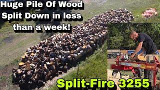 Split- Fire Tackles HUGE Pile Of Wood!