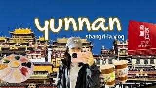 yunnan 云南 vlog | places to visit in shangri-la, ancient town, tibetan bonfire night, hiking 香格里拉vlog