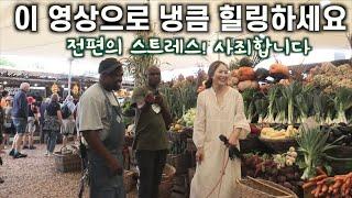 아름다운 장보기 & 한식 케이터링 이야기. 지난 닭강정/불고기 마켓영상에 스트레스 받으신 구독자님들을 위한 위급 처방 영상,  한달살이 케잎타운 도착한 정은 구독자님과 까페 만남