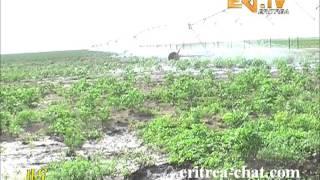 Eritrean TV   News   Working possibilities through Water Dam Gerset   HQ