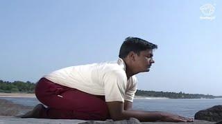 5 Simple Yoga Asanas to Reduce Blood Pressure and Hypertension | Beginners Yoga for Stress Relief