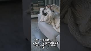 あなたの知らない世界、99%が知らないミステリー「“ヴァチカン地下図書館”の禁断の書」