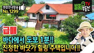 (급매) 바다에서 도보 1분이면 닿는 집입니다!! 진정한 바닷가 힐링 주택 충남 보령 전원주택 매매 급매물 모래 사장 해변을 매일 산책하는 텃밭 있는 보령부동산 - 발품부동산TV