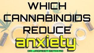 Which Cannabinoids Reduce Anxiety? THC vs CBD vs CBN vs CBG. Doctor Explains About Medical Cannabis.