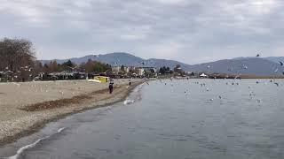 Struga 29.11.2020