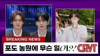 Breaking Unknown Object in Vineyard? JUNGMO Reports, "Each Worth 10 Billion!" | CRVT News